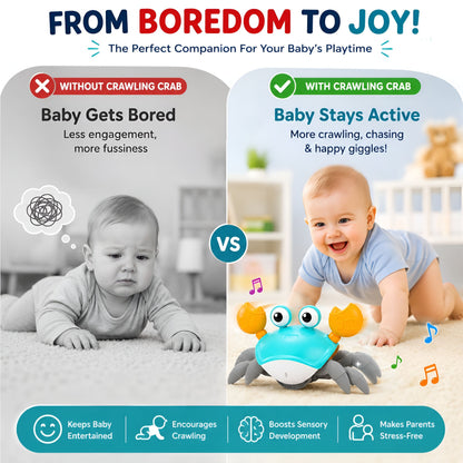 Crawling Crab Baby Toy